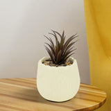 Maceta con Planta Artificial color Beige