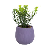 Maceta Color Morado con Planta Artificial