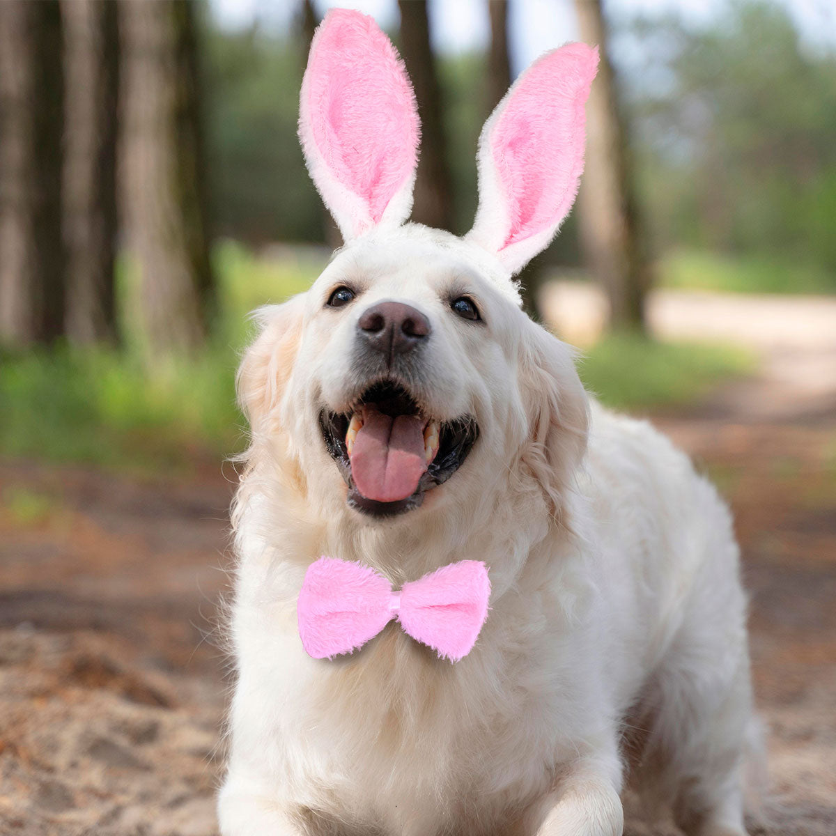 Orejitas para Mascota con Moñito,Pascua